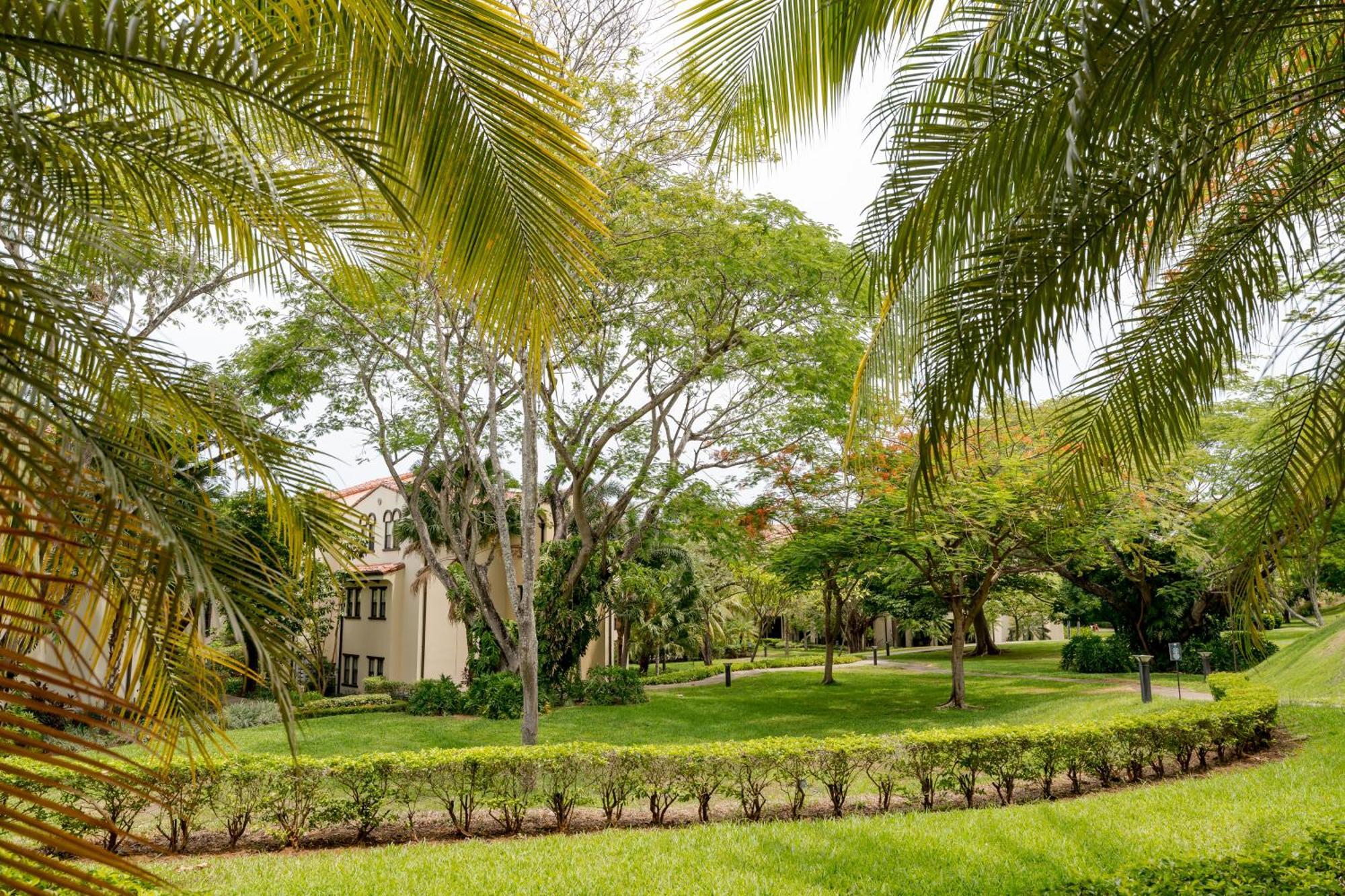 Coco Breeze Private Residence المظهر الخارجي الصورة